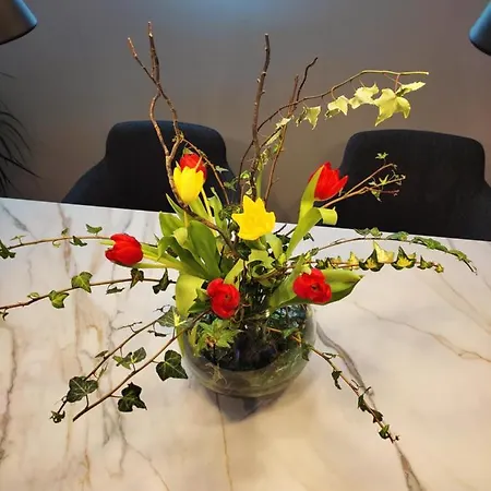 Apartment Nino Luxury